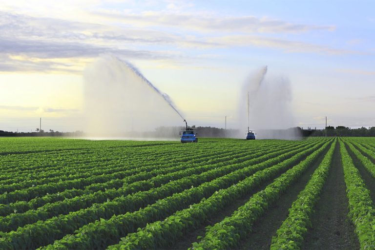 Cropped-Irrigation-with-Fields